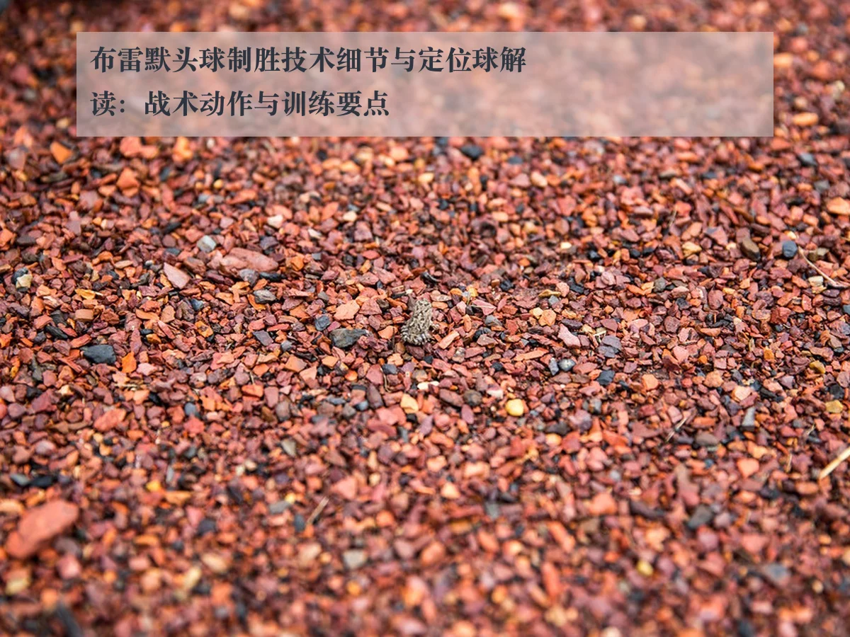 布雷默头球制胜技术细节与定位球解读:战术动作与训练要点